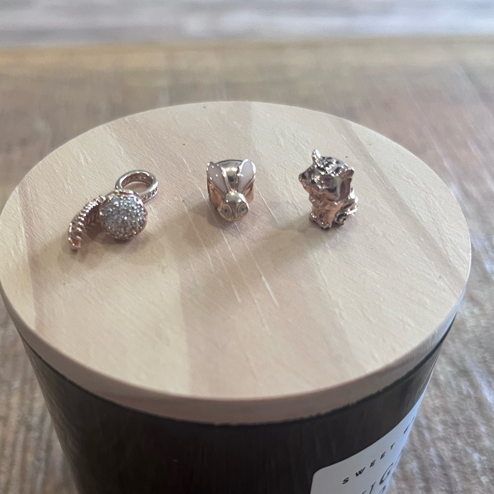 Pandora Rose Charm Set